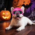 Dog Motorcycle Helmet & Goggles Set : Safety + Style